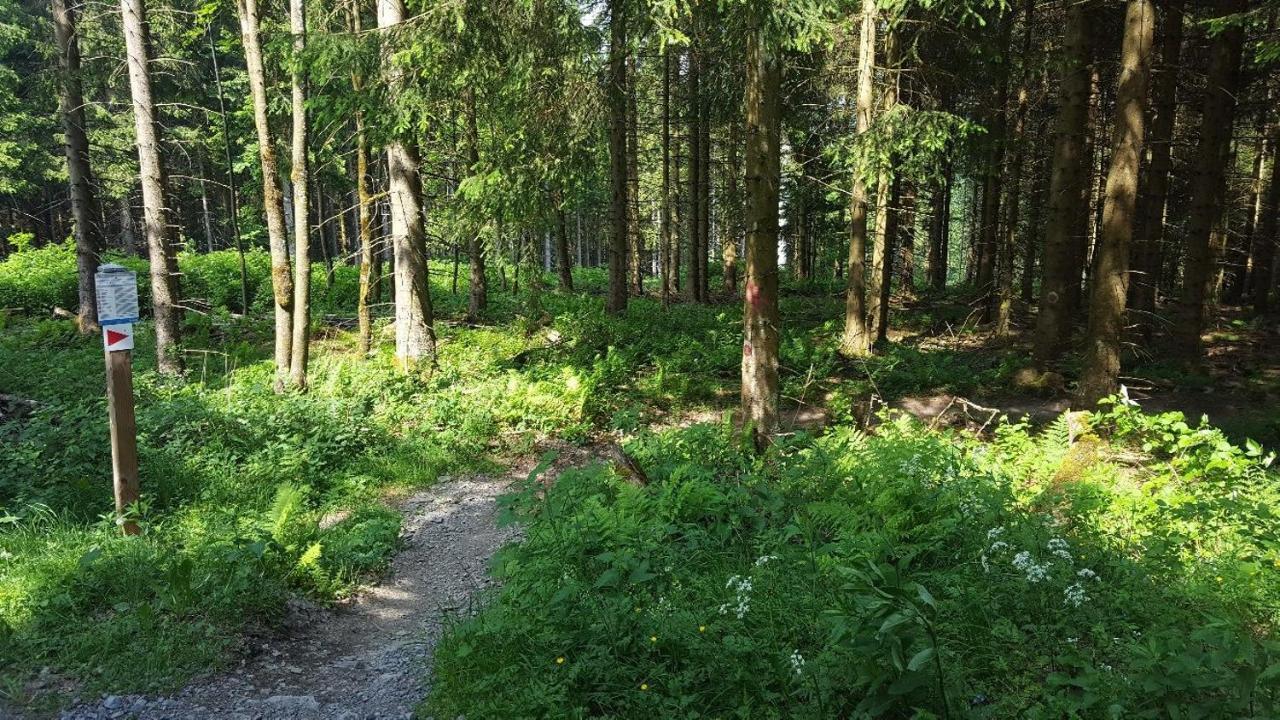 Ferienwohnung Little Home In Winterberg-Neuastenberg Zewnętrze zdjęcie